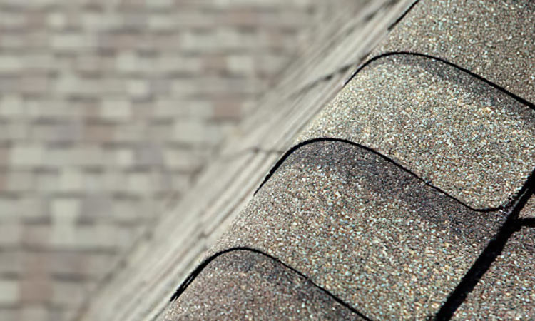 Closeup of asphalt shingles.