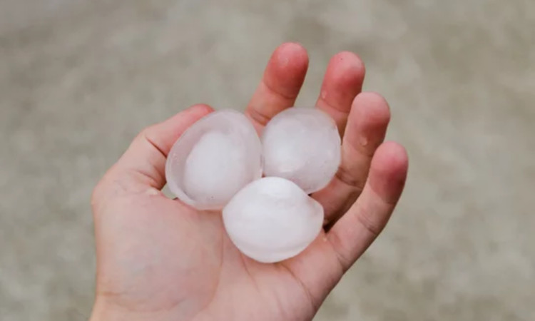 Holding large hail in hand.