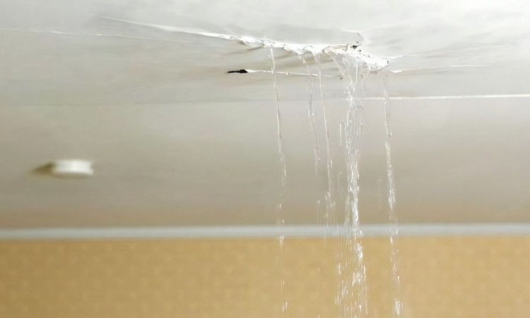 roof-leak Heavy roof leak coming through ceiling.