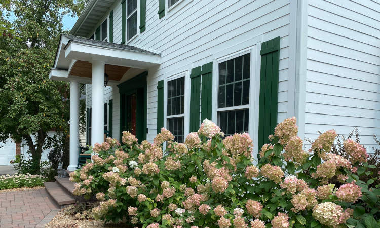 White Colonial House Windows in Maplewood