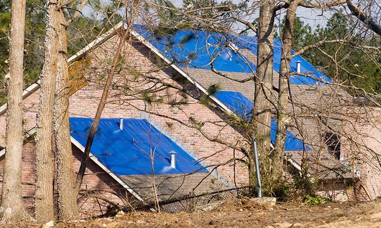 Roof-Tarping-750